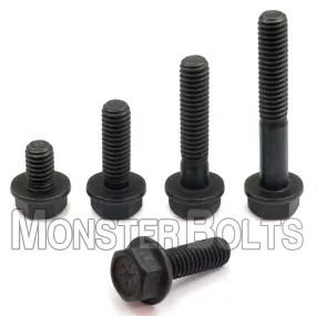 1/4"-20 Grade 8 Indented Hex Flange Screws (Frame Bolts) ?C Black Phosphate & Oil
